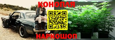 индика Ликино-Дулёво