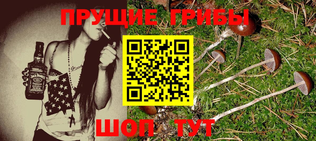 Галлюциногенные грибы мухоморы Шебекино