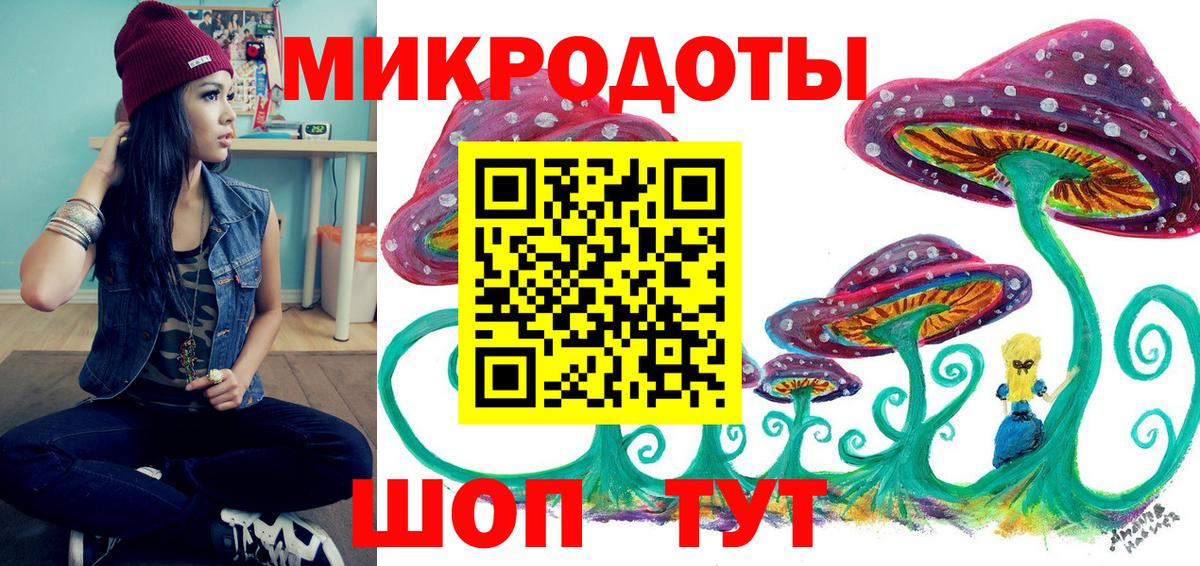Псилоцибиновые грибы Psilocybe  Вход с VPN  Шебекино 